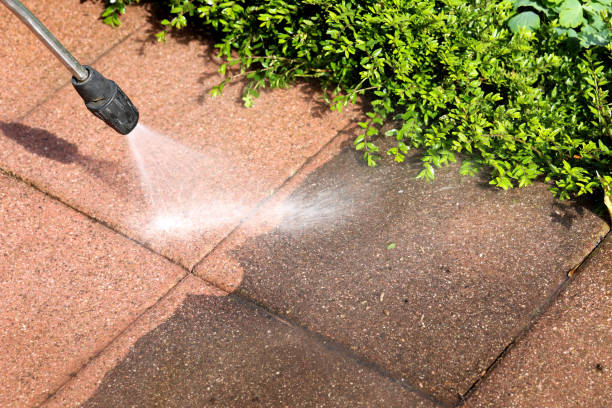 Best Exterior Home Cleaning  in Port Royal, SC